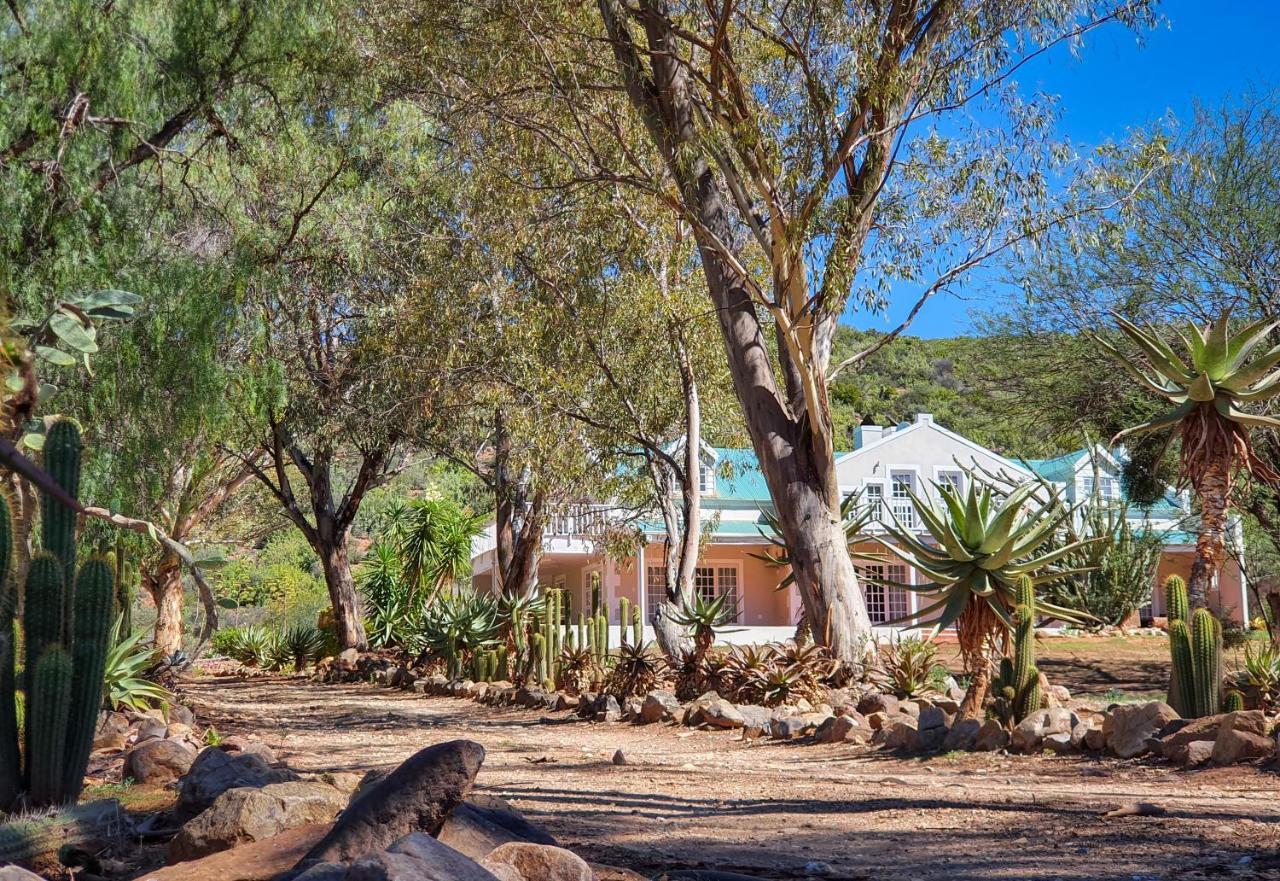 Berluda Farmhouse And Cottages Oudtshoorn Εξωτερικό φωτογραφία
