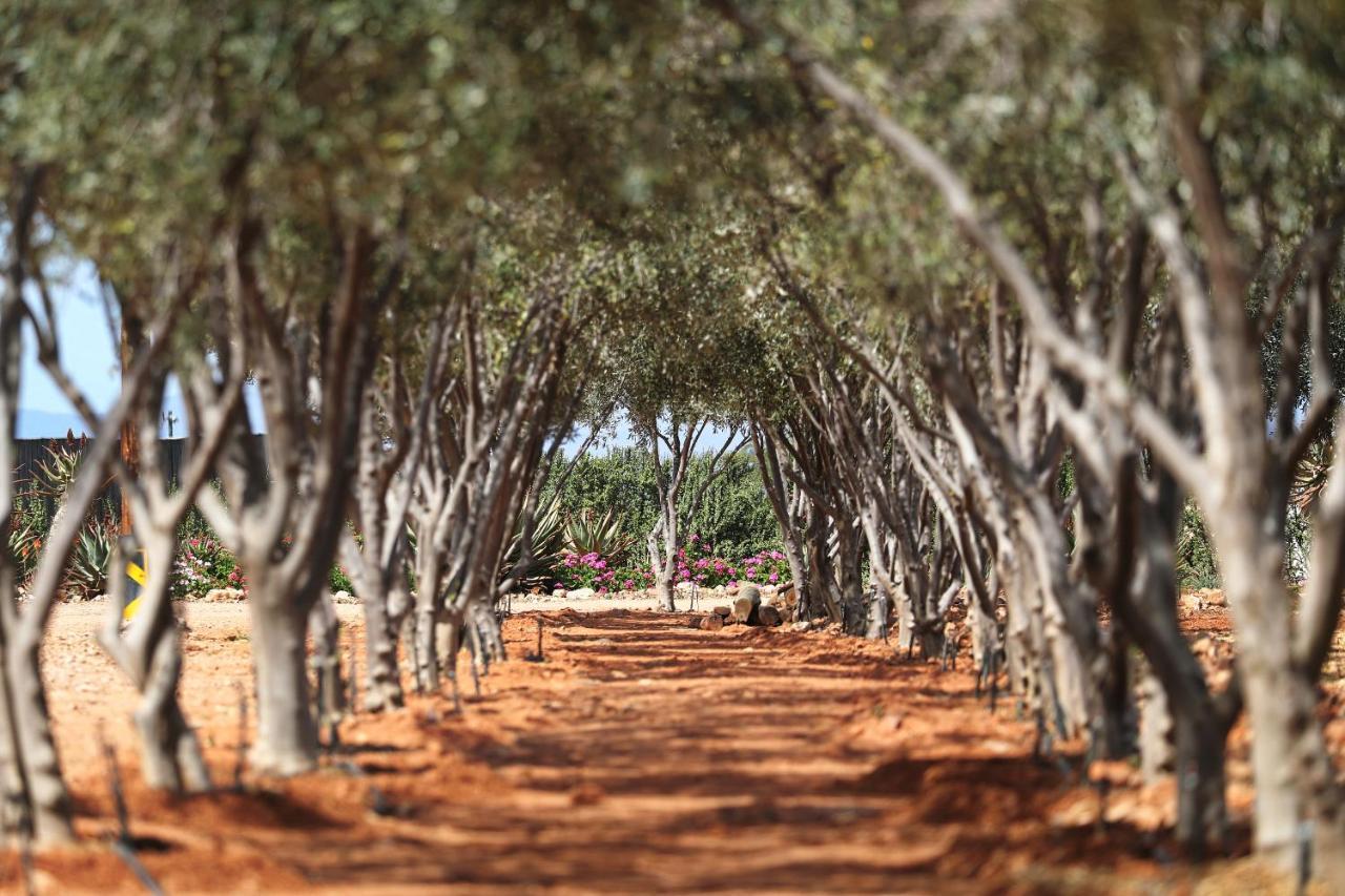 Berluda Farmhouse And Cottages Oudtshoorn Εξωτερικό φωτογραφία